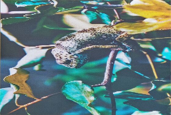 LED Integrated Module,LED Integrated Screen Module