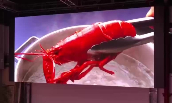 IP40 Tường video Led ngoài trời Màn hình nền sân khấu Led 16bits 3840hz